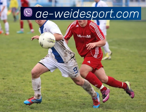 伟德体育APP 体育赛事宣传图